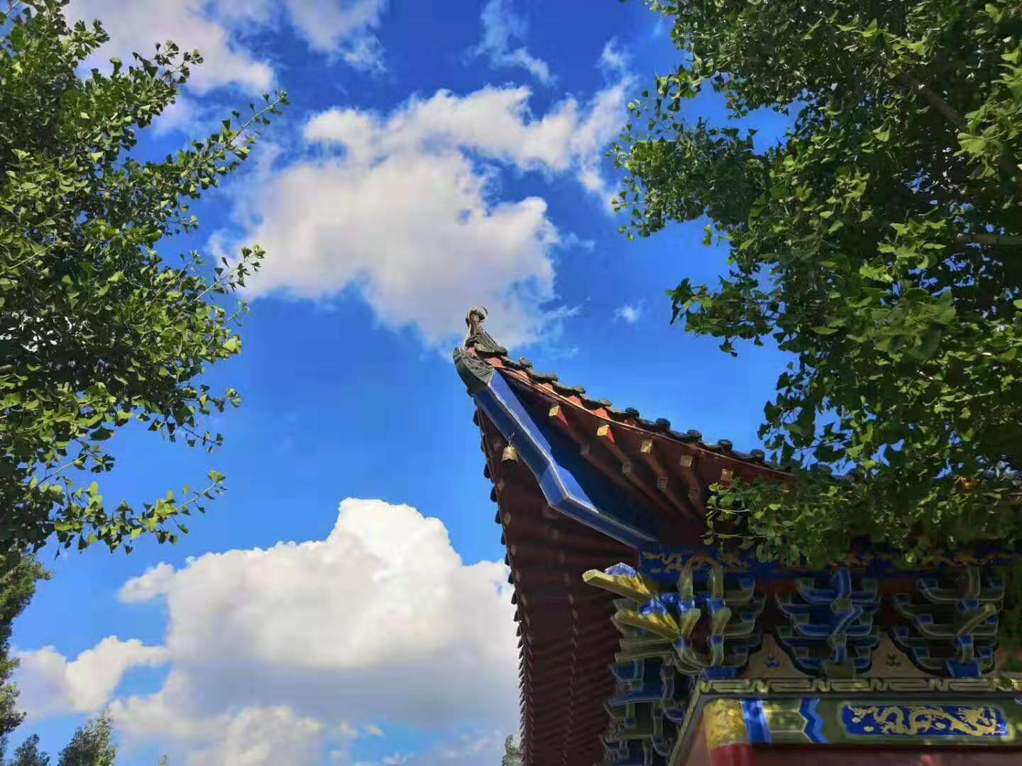 微信图片_20190809161747.jpg