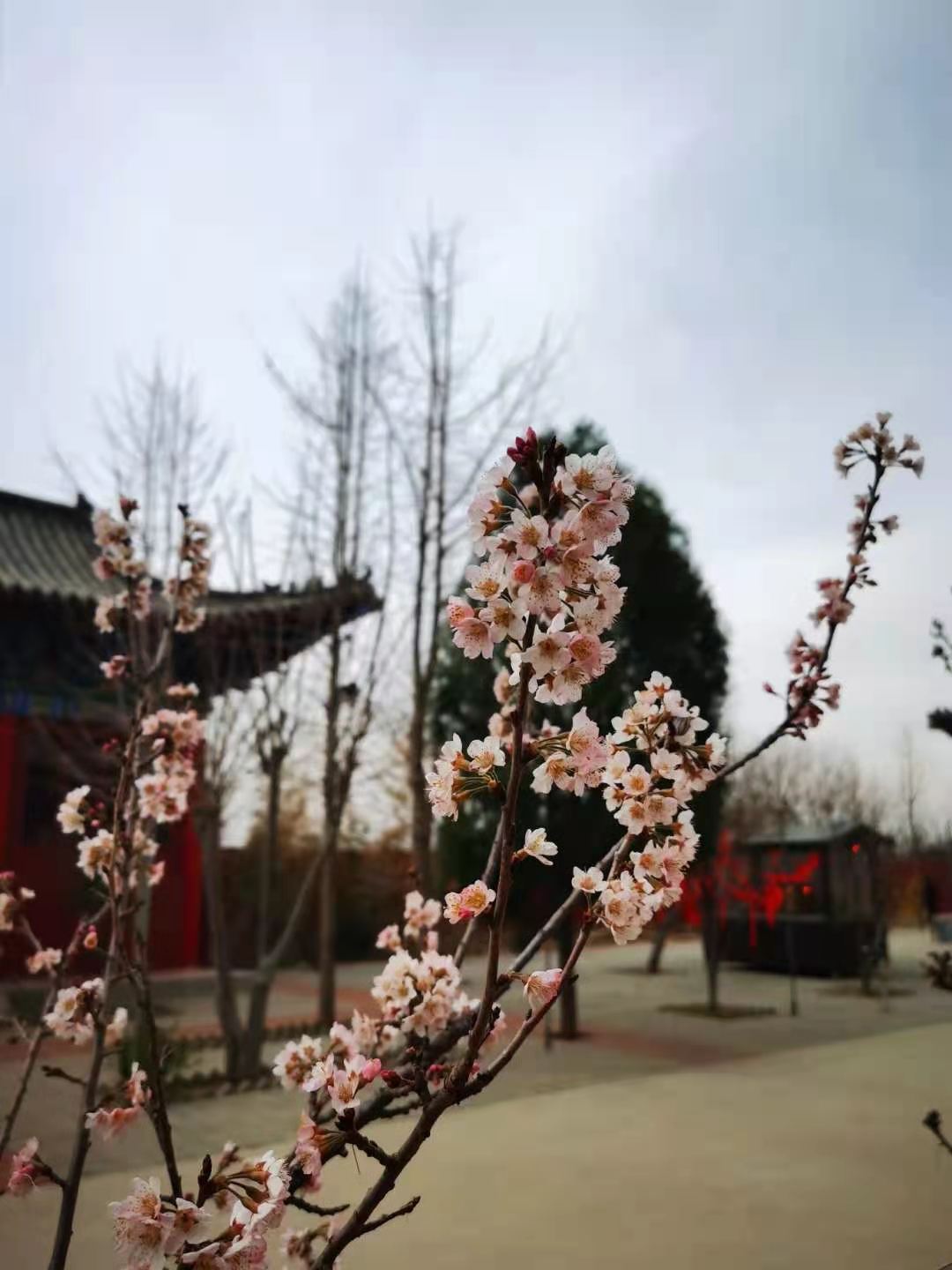微信图片_20210326170727.jpg