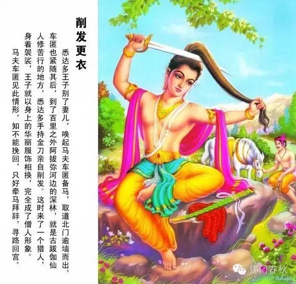 8,削发更衣悉达多王子见这里山林繁茂,寂静无哗,心中欢喜,便命车匿