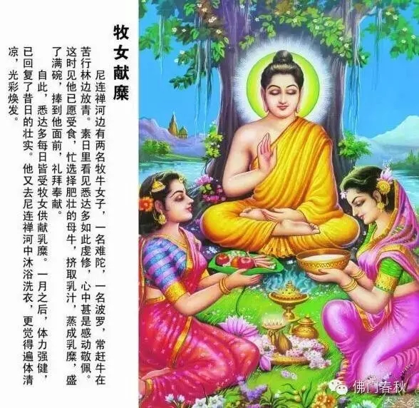恭迎释迦牟尼佛成道日精简图说明释迦牟尼佛的一生3